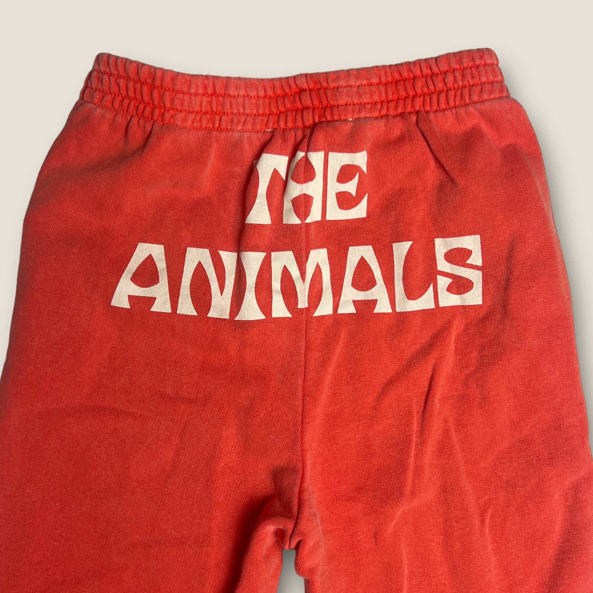 The Animals Observatory size 8 years